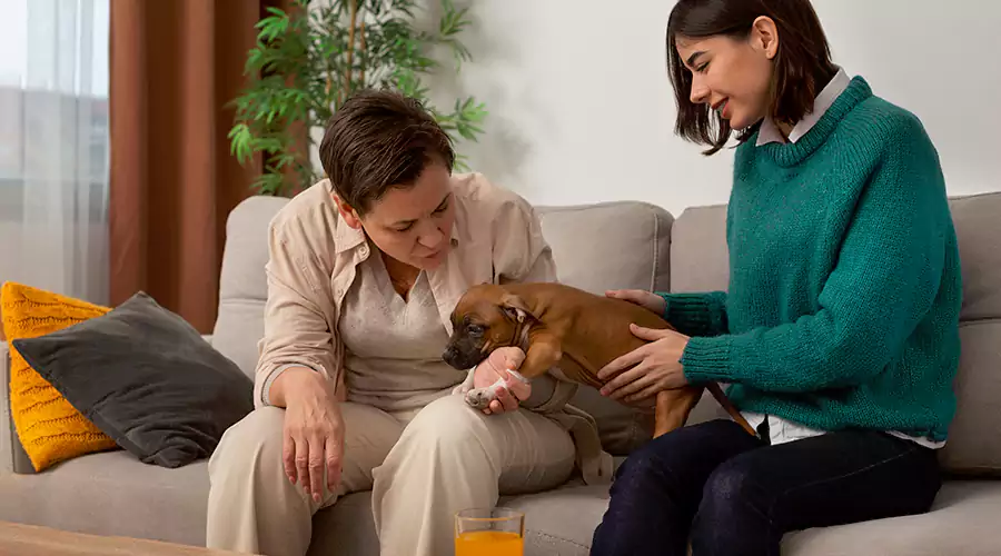 which-luxury-rehabs-in-los-angeles-are-pet-friendly
